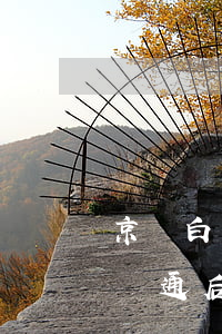京東白條開通后可以自助還款嗎-京東白條開通后可以自助還款嗎安全嗎