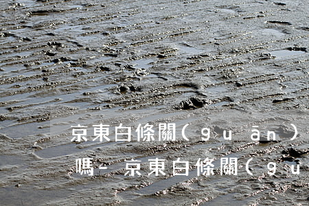 京東白條關(guān)閉后還能最低還款嗎-京東白條關(guān)閉后還能最低還款嗎安全嗎