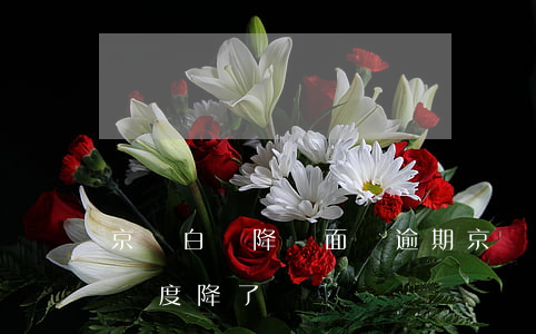 京東白條降額面臨逾期(京東白條逾期了一天額度降了)