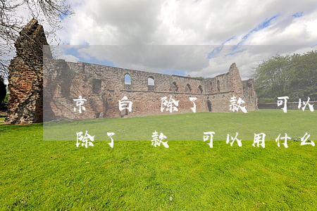 京東白條除了還款還可以用什么-京東白條除了還款還可以用什么方式還款