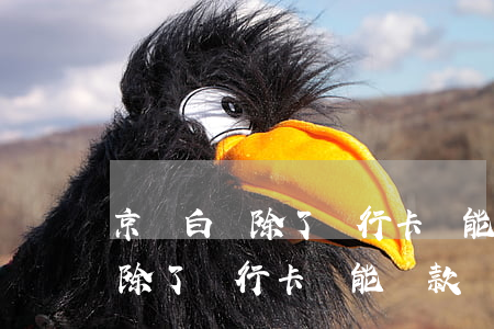 京東白條除了銀行卡還能還款嗎-京東白條除了銀行卡還能還款嗎安全嗎