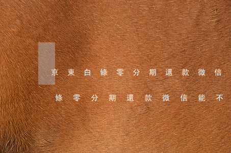 京東白條零分期還款微信能不能還-京東白條零分期還款微信能不能還款