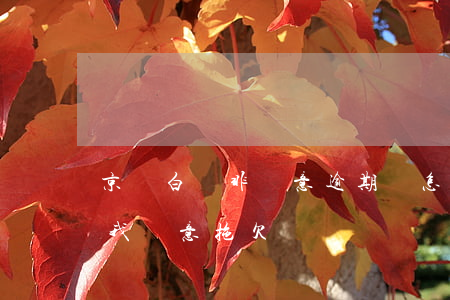 京東白條非惡意逾期該怎么處理(京東白條說我惡意拖欠)