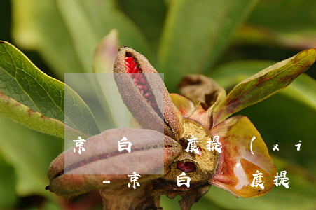 京東白條額度提現(xiàn)有還款期限嗎-京東白條額度提現(xiàn)有還款期限嗎多久