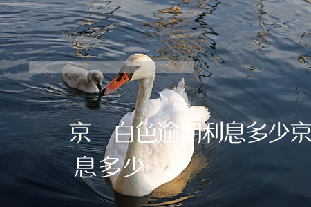 京東白色逾期利息多少(京東白條逾期一天利息多少)