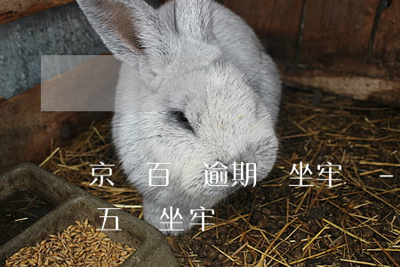 京東百條逾期會坐牢嗎-京東白條逾期一萬五會坐牢嗎