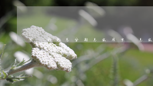 京東的免息分期怎么用(京東怎么免息分期付款?)