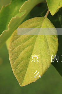 京東的米粒貸逾期一年多(米粒貸逾期了會怎么樣)