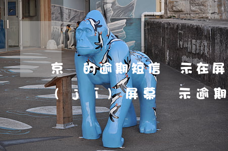 京東的逾期短信顯示在屏幕(京東白條在手機(jī)屏幕顯示逾期)