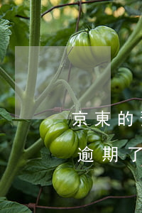 京東的預(yù)計(jì)到達(dá)逾期了可以投訴嗎(京東逾期三十天說(shuō)要起訴我 是真的嗎)
