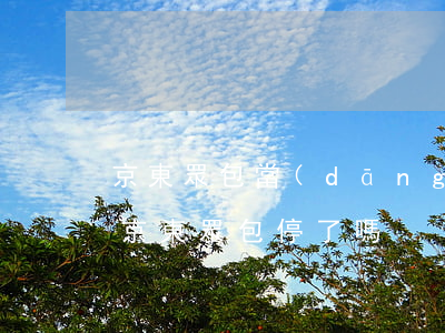 京東眾包當(dāng)前有逾期能入職不(京東眾包停了嗎)