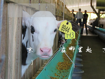 京東糾紛在哪里起訴 京東訴訟電話(huà)