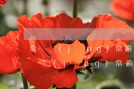 京東經(jīng)常逾期但每月就還了(京東經(jīng)常逾期但每月就還了)
