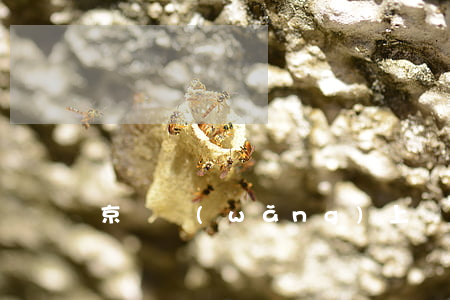 京東網(wǎng)上購物逾期怎么賠償