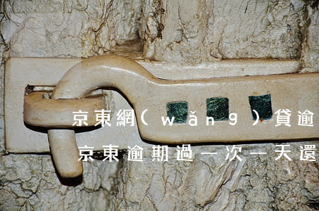 京東網(wǎng)貸逾期一天有沒有影響(京東逾期過一次一天 還完后還能借嗎)
