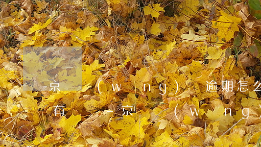 京東網(wǎng)貸逾期怎么辦起訴我沒有錢還-京東網(wǎng)貸逾期怎么辦起訴我沒有錢還了