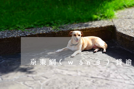 京東網(wǎng)貸逾期會上門