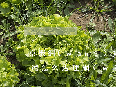 京東網(wǎng)貸逾期無(wú)力償還怎么處理(網(wǎng)貸逾期實(shí)在無(wú)力償還怎么辦)