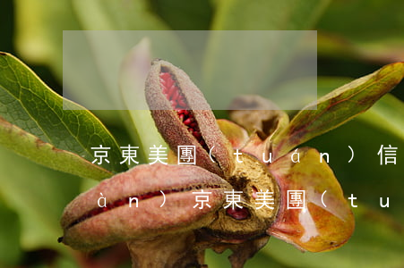 京東美團(tuán)信用卡逾期3萬(wàn)(京東美團(tuán)信用卡逾期3萬(wàn))