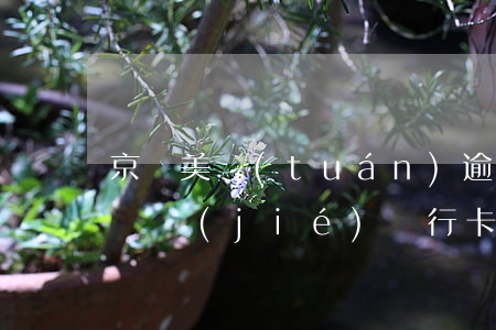京東美團(tuán)逾期會(huì)被凍結(jié)銀行卡嗎-