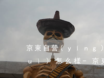 京東自營(yíng)白條逾期兩天會(huì)怎么樣-京東自營(yíng)白條逾期兩天會(huì)怎么樣嗎