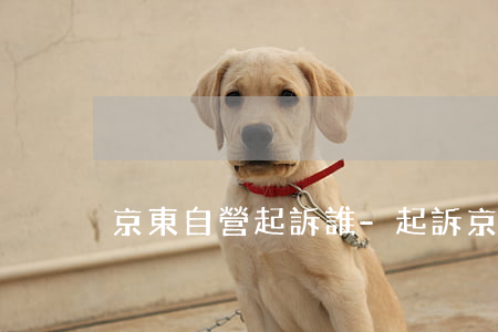 京東自營起訴誰-起訴京東自營店鋪