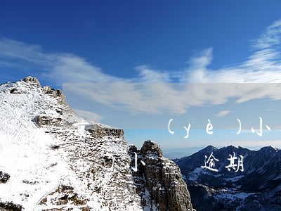 京東興業(yè)小鯊魚逾期（京東興業(yè)小鯊魚逾期）