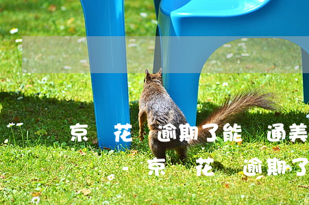 京東花唄逾期了能開通美團(tuán)借錢嗎-京東花唄逾期了能開通美團(tuán)借錢嗎安全嗎