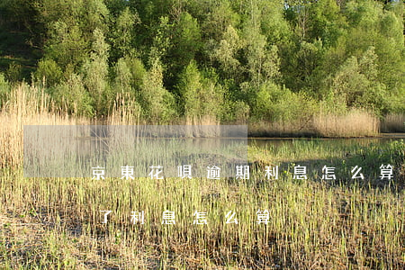 京東花唄逾期利息怎么算的(支付寶花唄逾期了利息怎么算)