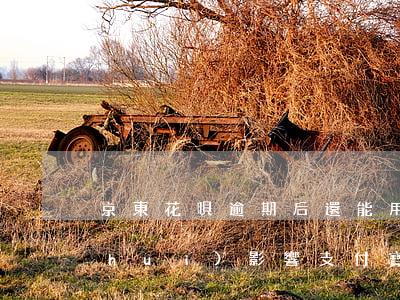 京東花唄逾期后還能用嗎(京東金融逾期會(huì)影響支付寶花唄使用嗎)