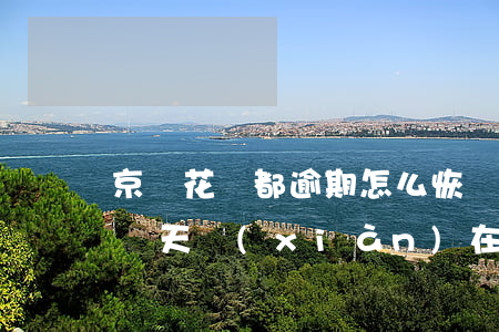 京東花唄都逾期怎么恢復(fù)(花唄逾期兩天,現(xiàn)在還了,怎么可以恢復(fù)使用)