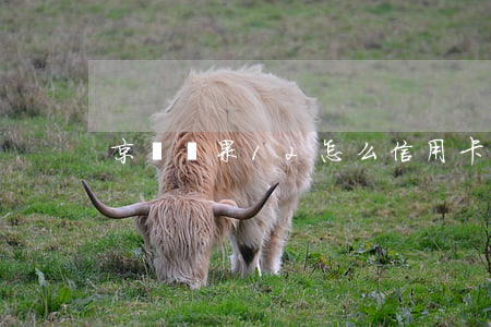 京東蘋果12怎么信用卡免息分期