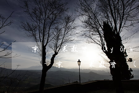京東蘋果教育優(yōu)惠可以分期付款嗎-京東蘋果教育優(yōu)惠可以分期付款嗎