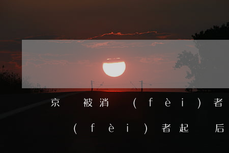 京東被消費(fèi)者起訴后果(京東被消費(fèi)者起訴后果嚴(yán)重嗎)