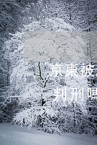 京東被起訴了怎么辦(京東起訴會(huì)判刑嗎)