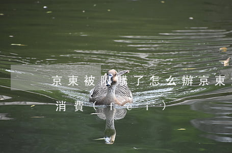 京東被限購了怎么辦（京東沒逾期卻被限制高消費(fèi)）
