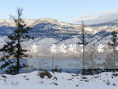 京東要逾期了說要貼本人畫像