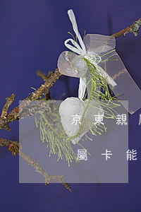 京東親屬卡能看到家人欠的白條嗎-京東親屬卡能看到家人欠的白條嗎安全嗎