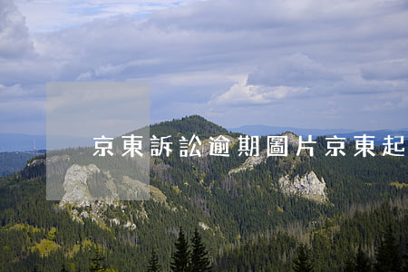 京東訴訟逾期圖片(京東起訴書)
