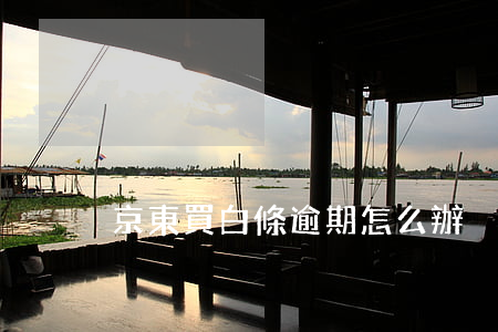 京東買白條逾期怎么辦