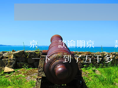 京東貸款逾期(京東貸款逾期了本來是四千多一下漲到了五千多)