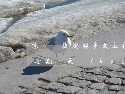 京東貸款逾期多久上征信嗎-京東金融貸款逾期幾天,會(huì)上征信嗎