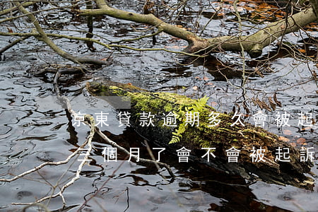 京東貸款逾期多久會被起訴-京東金融逾期三個月了,會不會被起訴