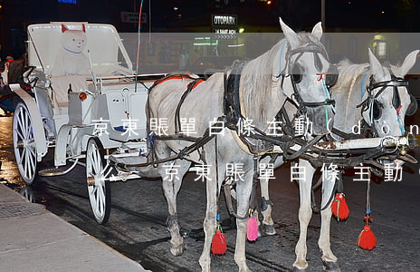 京東賬單白條主動(dòng)還款指的什么-京東賬單白條主動(dòng)還款指的什么意思