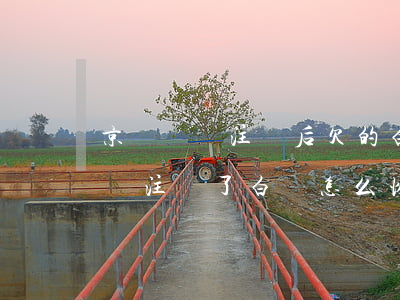 京東賬號注銷后欠的白條怎么查詢-京東賬號注銷了白條怎么恢復