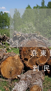 京東購物欠款逾期法院會怎么判 京東逾期收到民事判決書不去會怎么樣