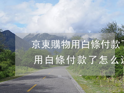 京東購物用白條付款了怎么還款-京東購物用白條付款了怎么還款呢