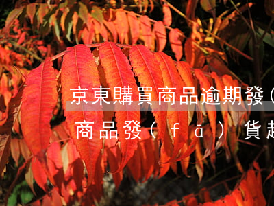 京東購買商品逾期發(fā)貨-京東預售商品發(fā)貨超時