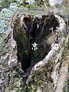 京東起訴一元購(gòu)