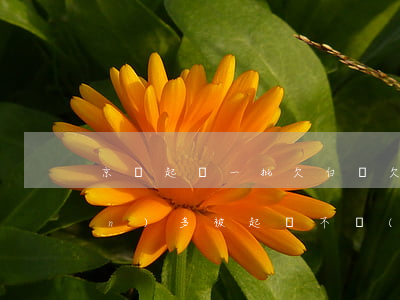 京東起訴一批欠白條(欠京東白條一萬(wàn)多被起訴不應(yīng)訴)